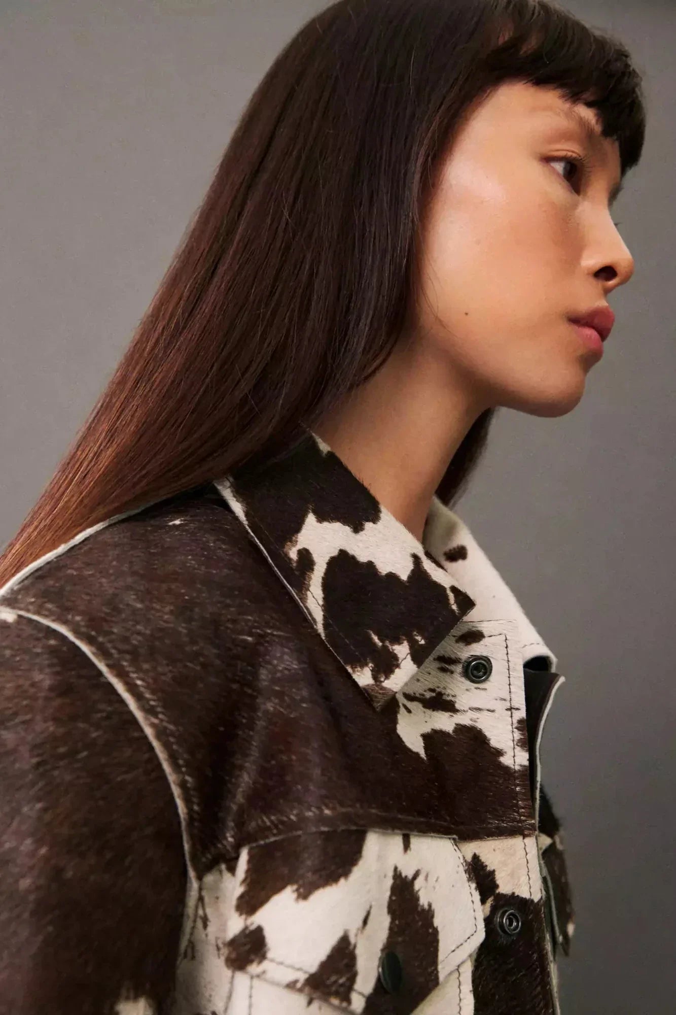 Dairy Cow - Women's cropped button-front jacket featuring a bold cow print pattern, pointed collar, and chest flap pockets.